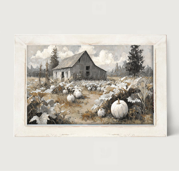 White Pumpkins in Field - Framed Art