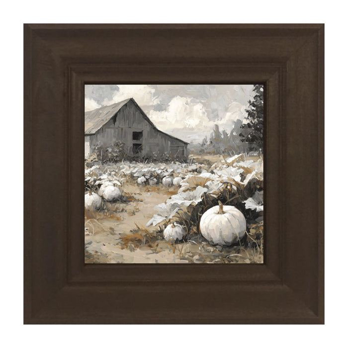 White Pumpkins in Field